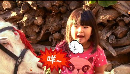 王诗龄近照曝光，评论里都是人性丑恶，网友：被李湘连累了