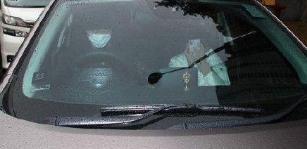 TVB“发电机”与绯闻男友外出被拍慌乱用手机遮脸 6年传14次绯闻