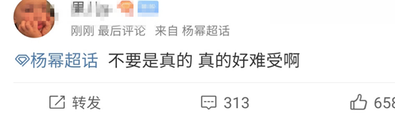 富二代魏大勋凭啥配不上杨幂,两人恋情不被看好,粉丝纷纷脱粉