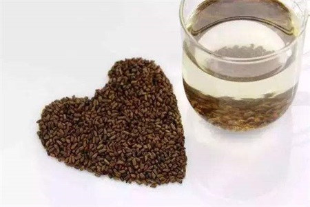 1577174860195448.jpg 决明子的功效与作用,女性拿决明子泡水喝有减肥的功效