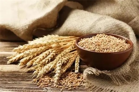 减肥食谱一周瘦10斤很简单 米饭里面加这些还能美容美颜