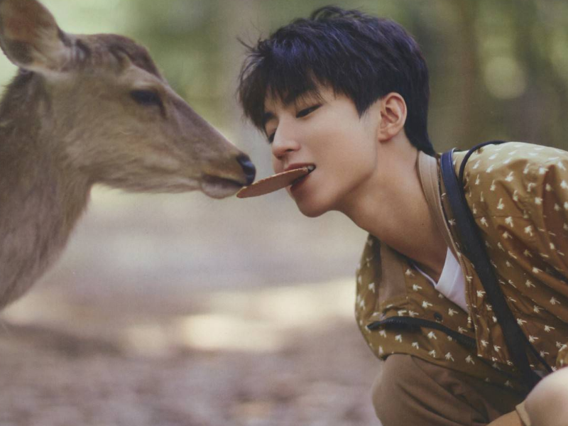 明星中的“漫画脸”,躲过了王俊凯却没熬过最后的他,简直太帅了