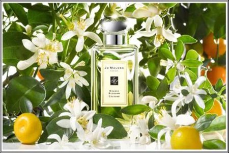 1569231490968709.jpg 祖•玛珑香水哪一种好闻,女士经典味道排名前五名