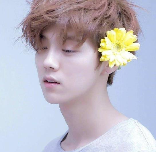 鹿晗首次曝出公开恋情的原因, 背后万般无奈, 坦言自己不是二傻子