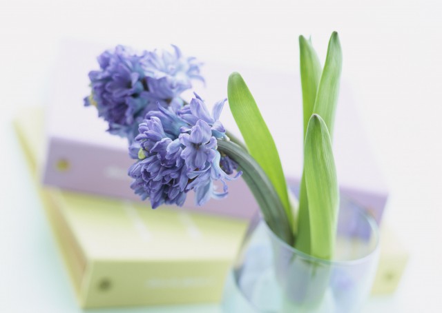 一个不成熟的人, 往往都有这6种毛病!