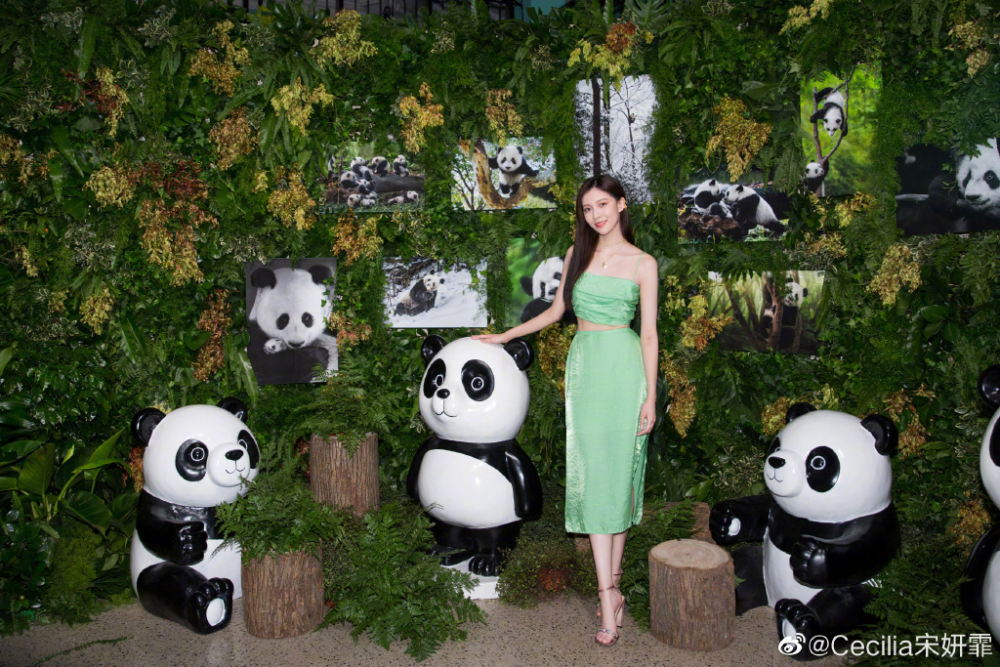 宋妍霏、周雨彤、钟楚曦、赵露思，盘点最近一年这些靠穿搭火出圈的美女