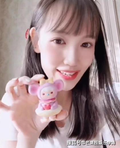 王宝强岳云鹏各捐20万抗击武汉疫情，章子怡汪峰夫妇捐款100万