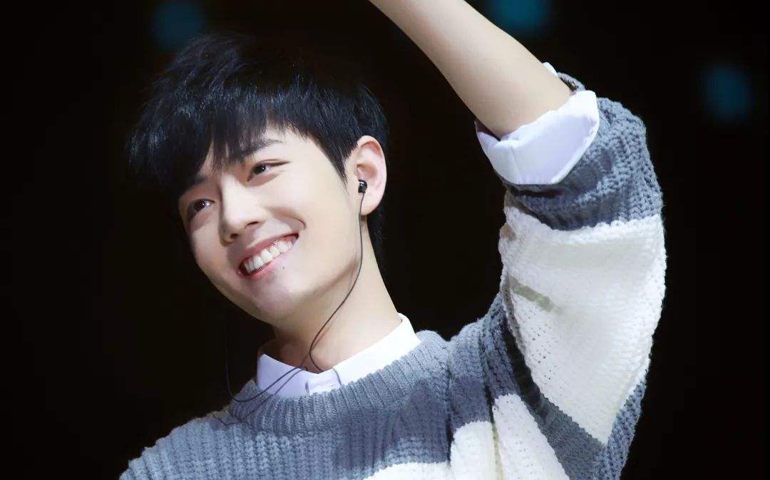 肖战的猫坚果,深度诠释了“一人得道,鸡犬升天”