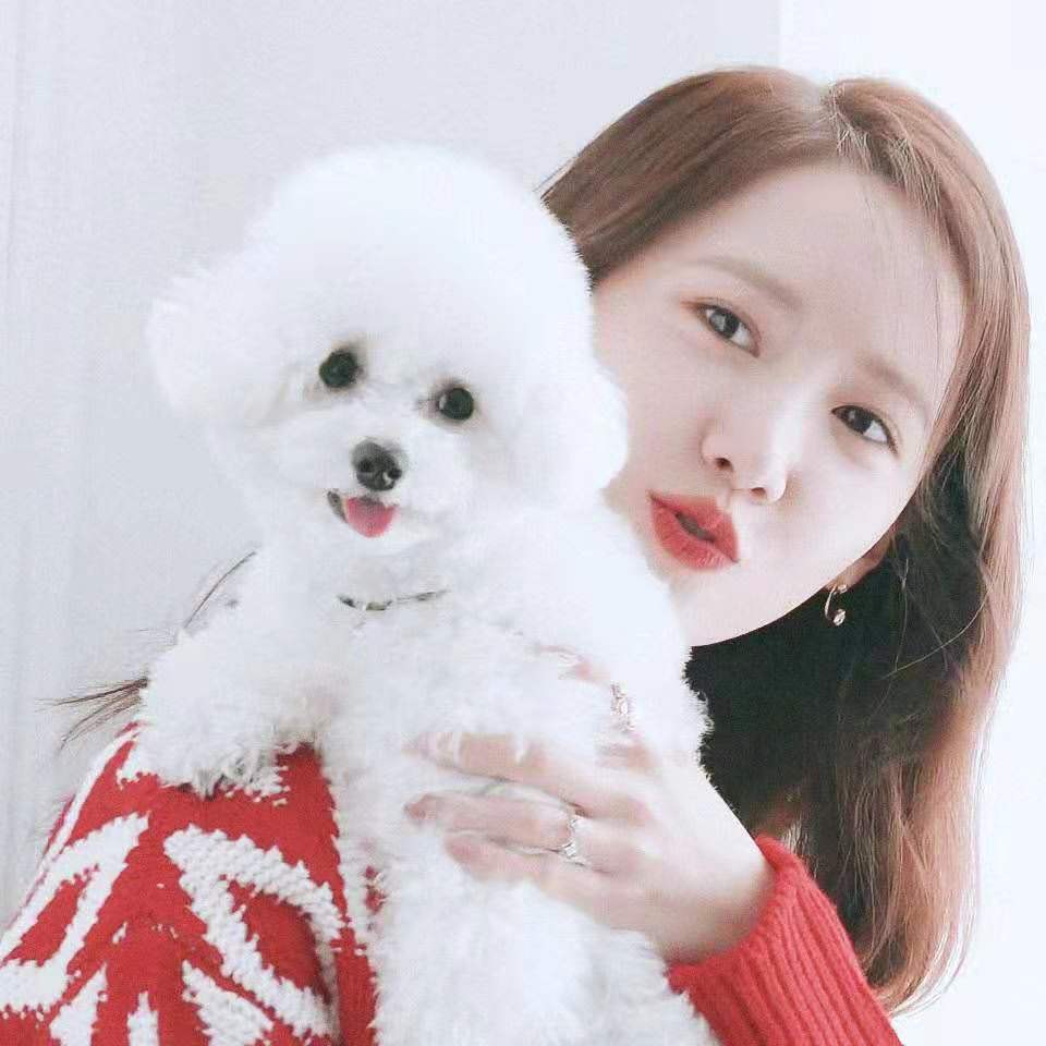 林允儿中文考试合格,为来华发展努力学中文,真的很宠粉丝