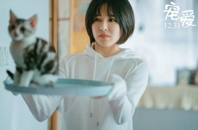 徐峥监制豪华明星阵容《宠爱》，首映日拿下6.3分，算滑铁卢吗