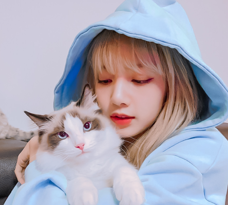 LISA为何总是有刘海？看到她空荡荡的额头照，意外撞脸了程潇