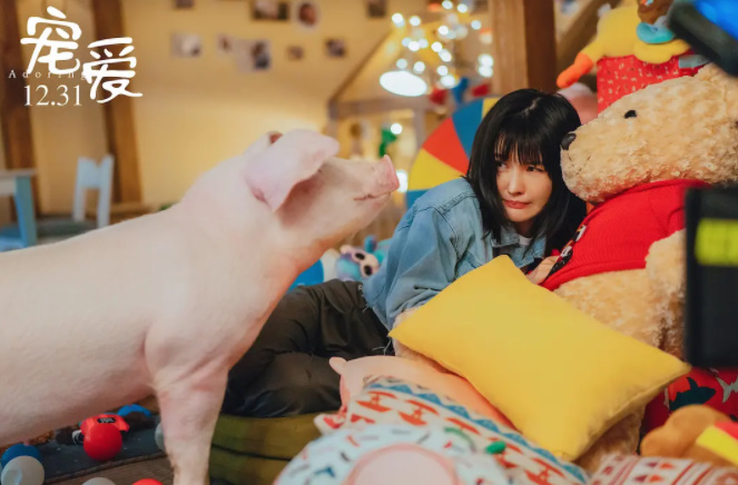 徐峥监制豪华明星阵容《宠爱》，首映日拿下6.3分，算滑铁卢吗