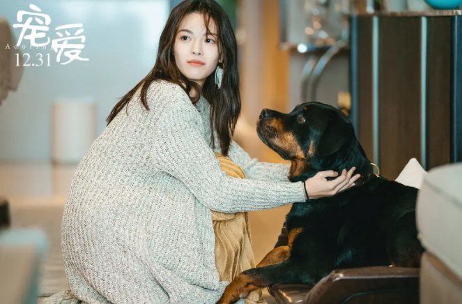 徐峥监制豪华明星阵容《宠爱》，首映日拿下6.3分，算滑铁卢吗