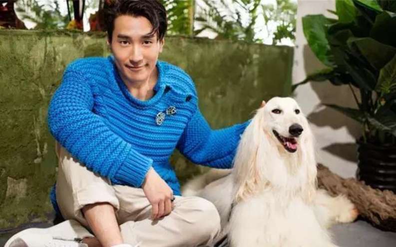 出道就获金钟奖，拥有“整容式演技”，他从电影咖变成了电视剧咖