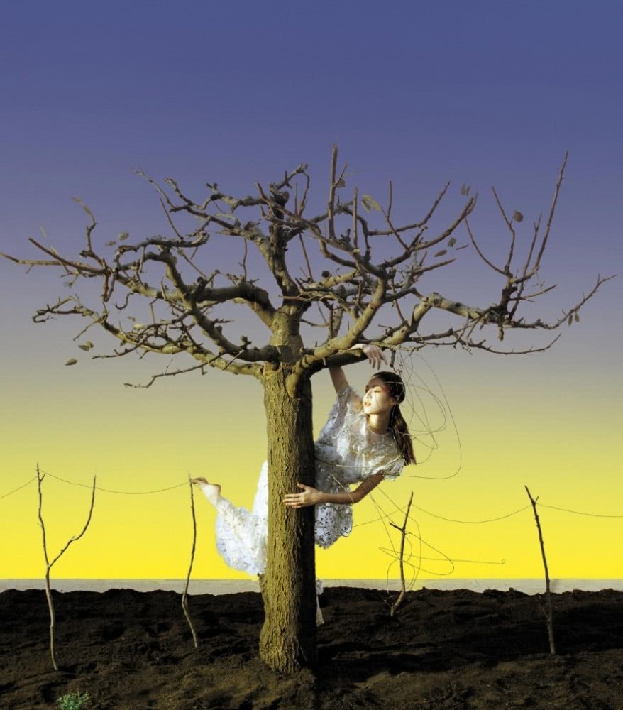 钟楚曦穿粉色碎花圆领卫衣搭同色半身裙,拍时尚杂志高级又有层次