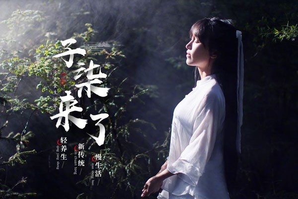 扒一扒李子柒黑料 包养整容农民出身真假