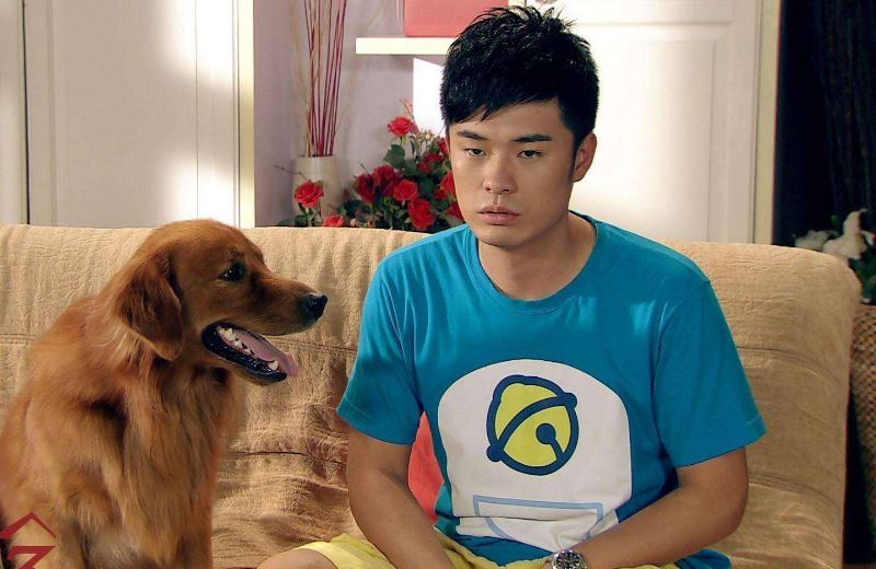 Compress_6.2_.jpg 《爱情公寓》会有第六季?“糖浆”CP终成眷属,赵海棠咖喱酱高甜片段曝光