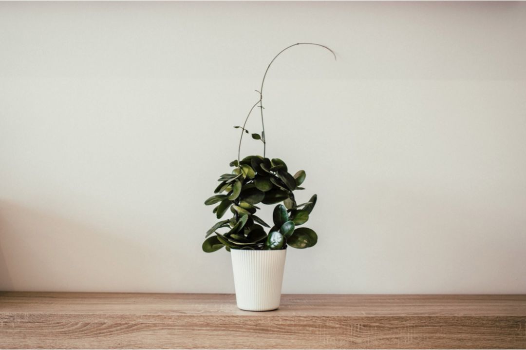 2020最新朋友圈说说 微信个性说说独一无二