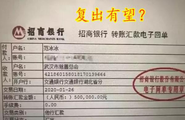 范冰冰复出有望!给武汉捐款,看到金额后,网友:这次要洗白了