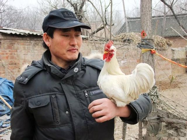 朱之文捐“巨款”背后:喝稀饭啃馒头,成名被嘲讽也不曾忘本