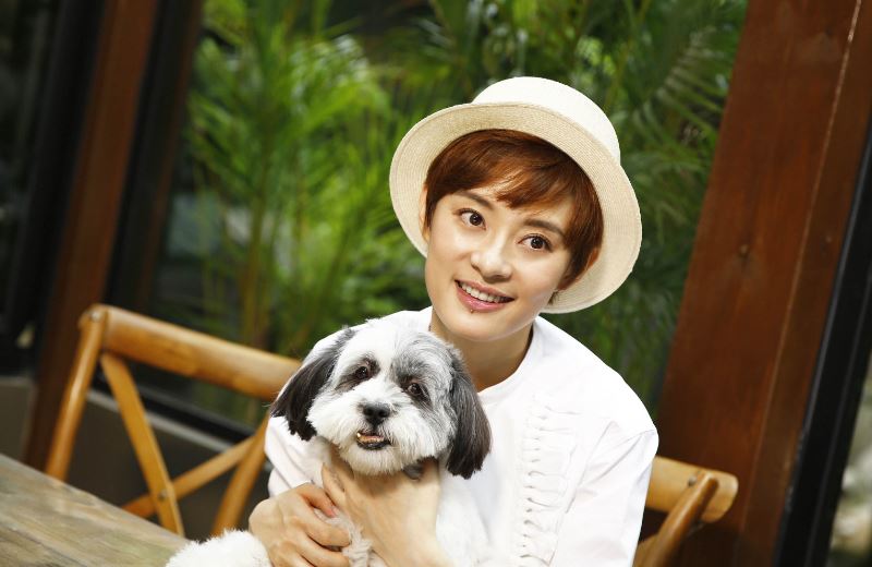 即将播出的几部影视剧,其中包括孙俪,佟丽娅和李易峰