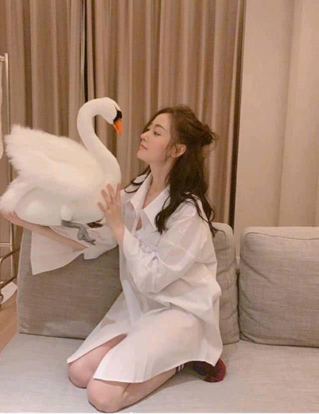 张天爱晒游玩照，看到她的鞋子后终于明白女星们腿为什么这么长