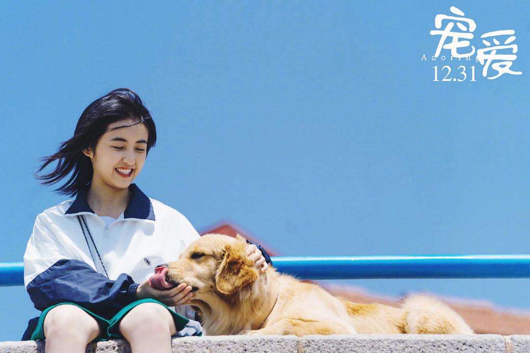 娱乐圈有这样一句话：生子当如郭麒麟，有女当如张子枫