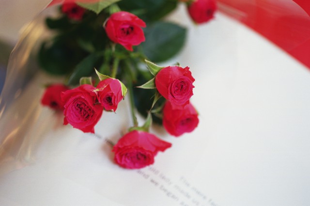 对伤害过你的人, 不必原谅, 但要学会放下