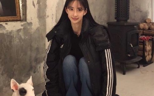 潘南奎为什么叫花蛇潘10亿怎么来的 潘南奎事件始末