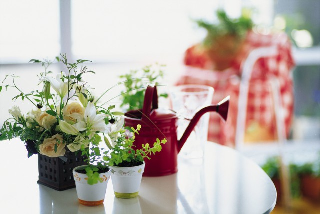 对伤害过你的人, 不必原谅, 但要学会放下