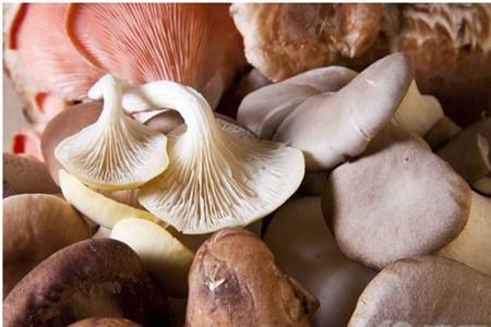 减肥食谱告诉你越吃越瘦的秘诀,这八种食材吃出好身材