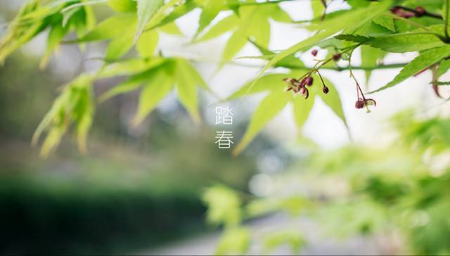 踏青赏花发朋友圈微信的句子 适合满心幸福的你