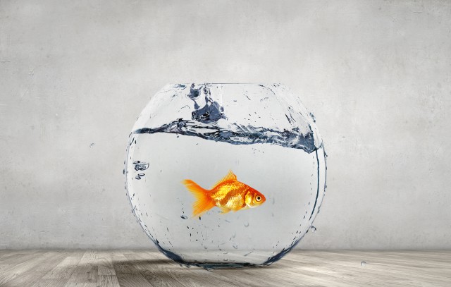 余生,做个狠心的女人,幸福或许稳一点