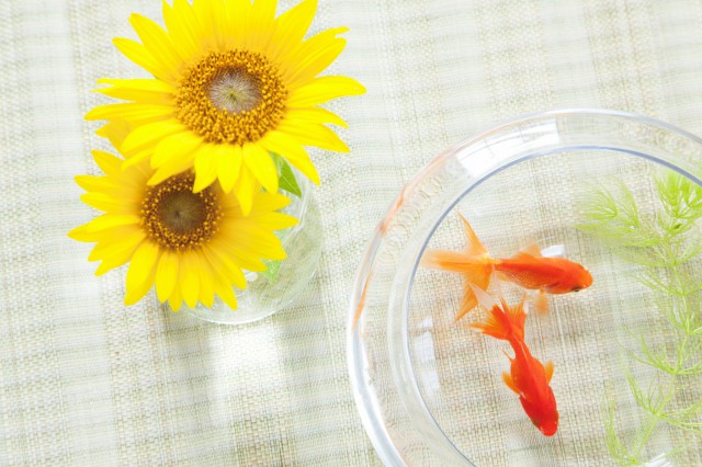 余生,做个狠心的女人,幸福或许稳一点