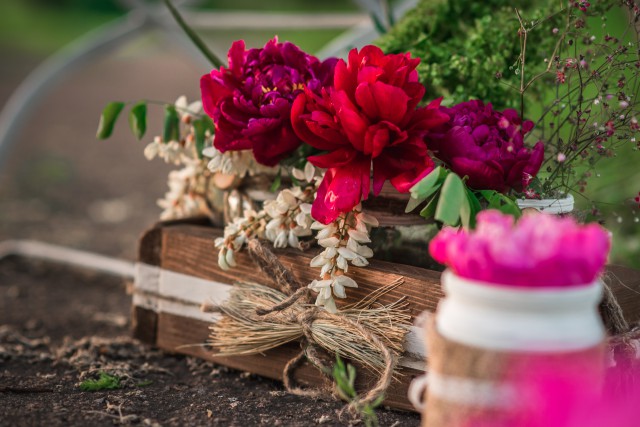 忍着不联系，时间久了，也就没有那么想念了