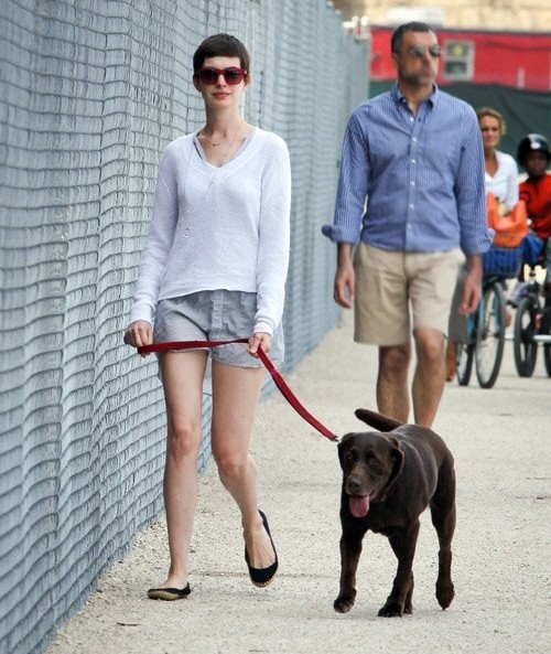 街拍那些溜狗的欧美明星造型盘点