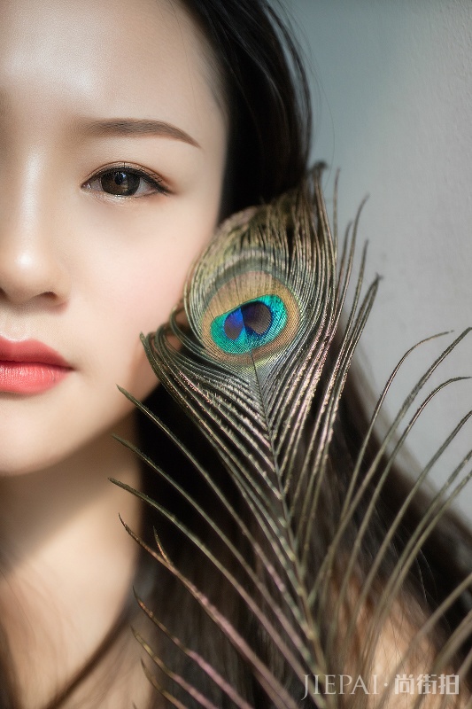 五彩的孔雀翎 优美的闲暇午后