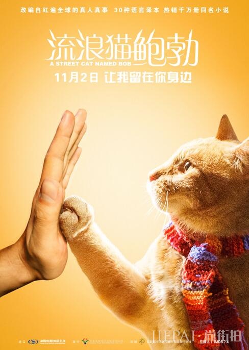 《流浪猫鲍勃》举办20城看片会 告白宣言海报曝光引人心动