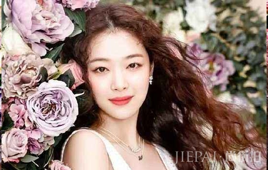 泰迪卷怎么打理 自然复古好打理