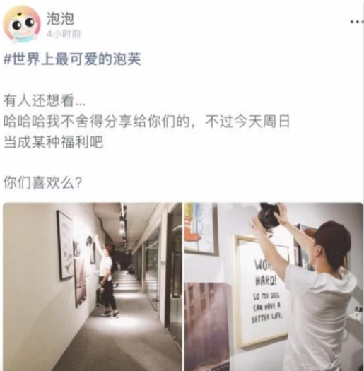 郑爽霸气回应脱粉网友，女友力max！