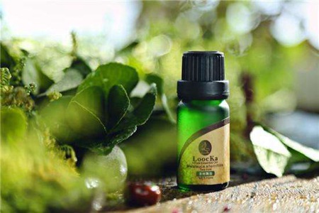 茶树精油的五大功效，护肤美容去除红痘痘