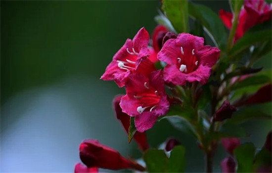 男生撩女生是为了了解她吗 这三种原因你要知道