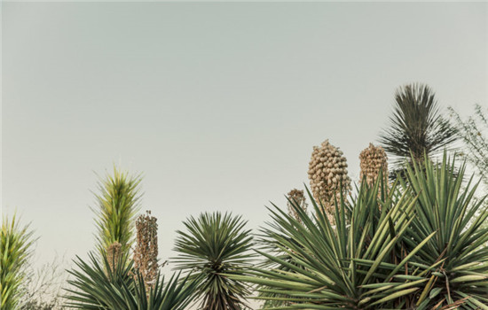 初恋女生分手后的表现 3种不同的表现有截然不同的差别