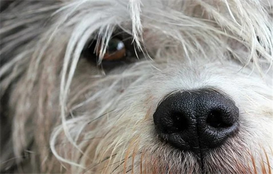 女人变心后会如何对你 女人变心后的三种对待态度