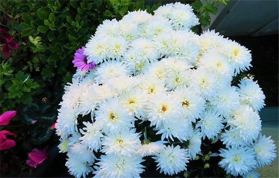 如何让异性喜欢上自己 以下三个方面来教你