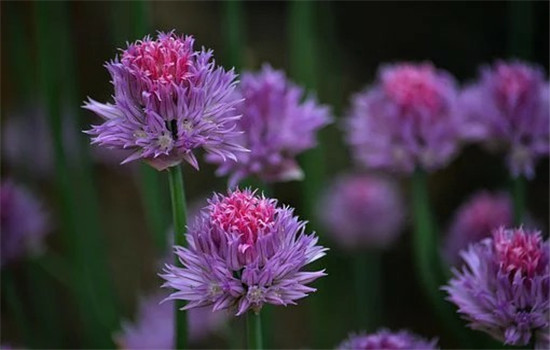 如何让异性喜欢上自己 以下三个方面来教你