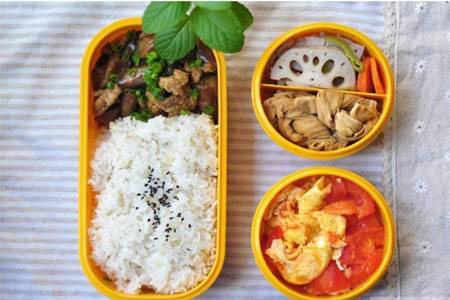 减肥食谱一日三餐标准，合理饮食让你不运动也能瘦下来