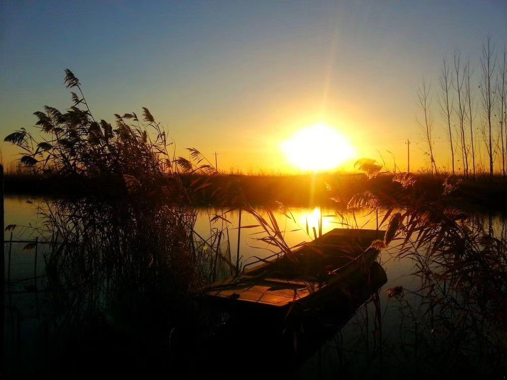 1590897054136242.jpeg 人生在世 最幸福的是有一个懂你的人