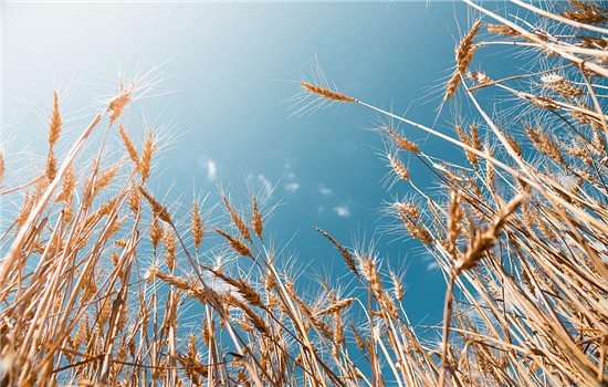 男朋友撩妹是什么心理 撩妹的四大心理