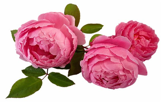 男生撩你没反应男生怎么想 男生可能会有这3种想法